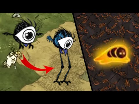 Czy Lawarwa Jest Użyteczna? - Poradnik Hodowcy