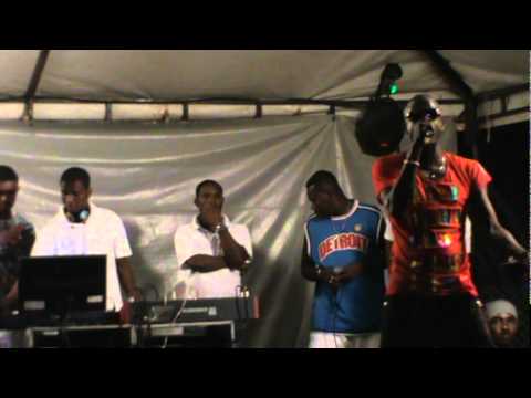 Bufalo en cocierto (Telovì)