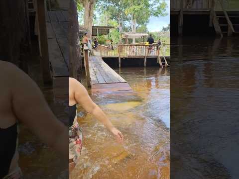 APOEMA BALNEÁRIO NO RIO PRETO DA EVA