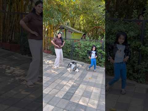 Husky Dog🐾 பக்கத்துல Husky Dance💃😜 #shorts #funny #comedy