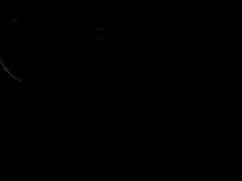 Funny Mammoth Documentary