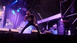 Screeching Weasel - Acknowledge (Live At Bay Fest August 15th 2016)