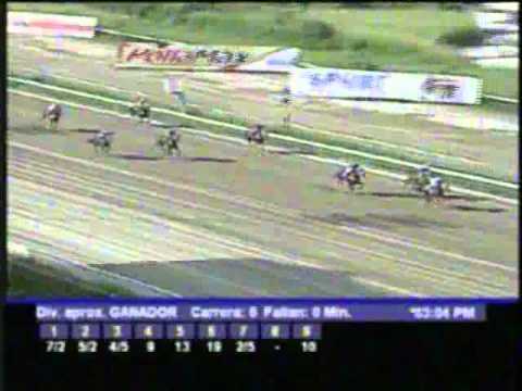 Resumen domingo 11 de diciembre 2011 - La Rinconada