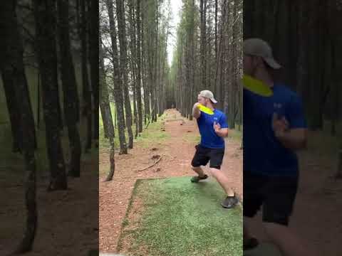 Disc Golf Ace by Jakson Griffith