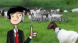 Takyun Angon Wedus...