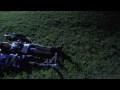 Bamboo Muli Official Music Video
