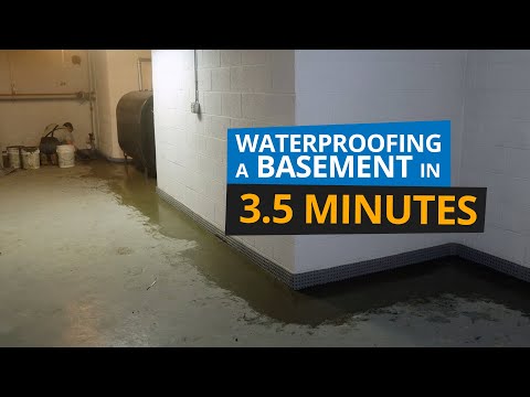 image-Which basement waterproofing system is best?