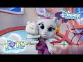 T.O.T.S. | Een Broertje Voor Mij! | Disney Channel NL