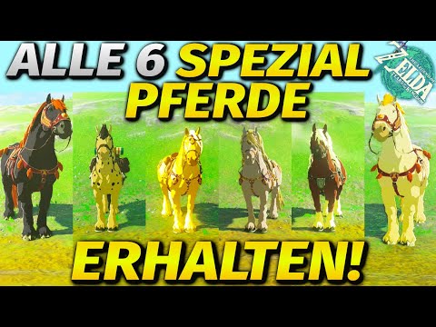 , title : '*NEU* Alle 6 einzigartigen Pferde ganz einfach erhalten! ► Zelda Tears of the Kingdom'