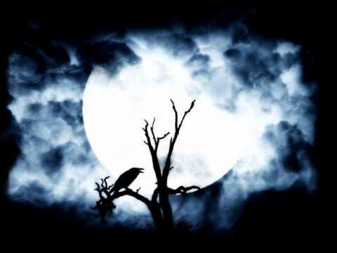Stanisha - Call Of A Night Bird (Original Mix)