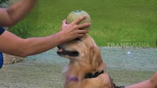 Download lagu OPERA VAN JAVA | WEEKEND SERU BARENG OVJ (08/04/18) 4-5 mp3