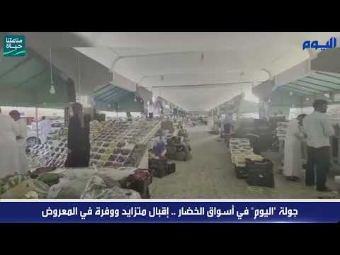 جولة اليوم في أسواق الخضار .. إقبال متزايد ووفرة في المعروض