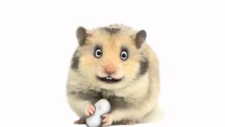 ♫ Comptine = V'la l'bon vent ♫