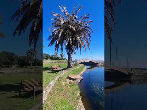 Parque Rodó Montevideo