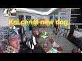 Adopting A Dog For 24 Hours Reaction