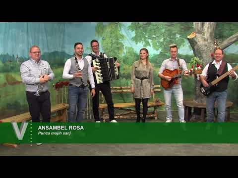 Ansambel Rosa - Punca mojih sanj