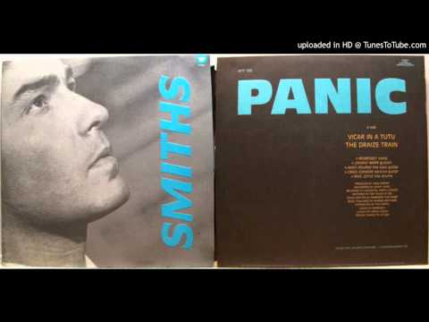 oscillate wildly cover by Panic