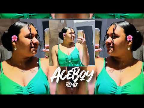 VELAVELA - PARADISE ROOTS FT ROSIE SOQETA [ACEBOY REMIX] 2024