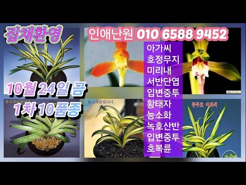 유튜브 썸네일