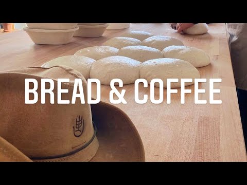 Simpel surdej x Stillers Coffee