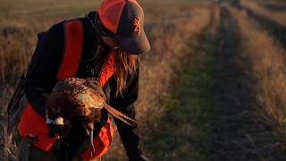 2018 Rooster Road Trip Recap