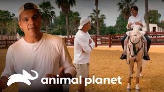 Thumbnail del capítulo