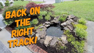 Garden Pond Cleanup: 2023
