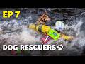 Dog Rescuers: Dogs Rescued From Extreme Conditions | Full Documentary