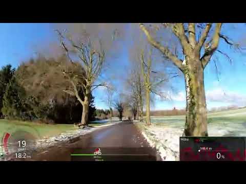 Gul stolt lappe episode 8004202