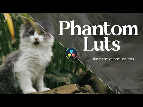 The BEST Luts I’ve Ever Used | Phantom Luts Review & Sample Footage!