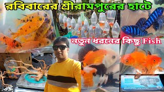 রবিবারের শ্রীরামপুরের শখের হাটে রঙিন মাছ | Aquarium Fish Serampore Fish Pet Market | Fish Shop 