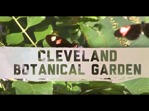 Cleveland Botanical Garden | Things to Do Cleveland Ohio	