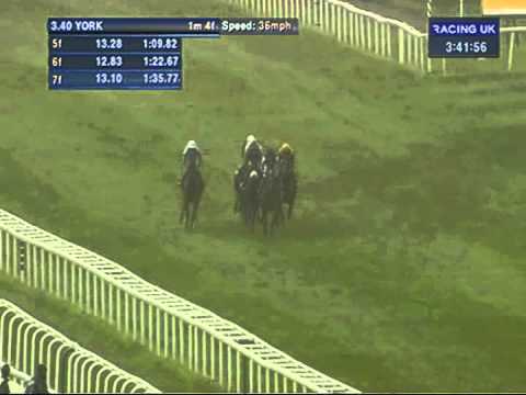2012 Darley Yorkshire Oaks