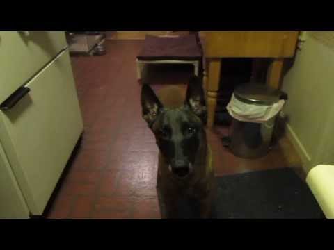 Saju showing his rear foot target work, in slow motion