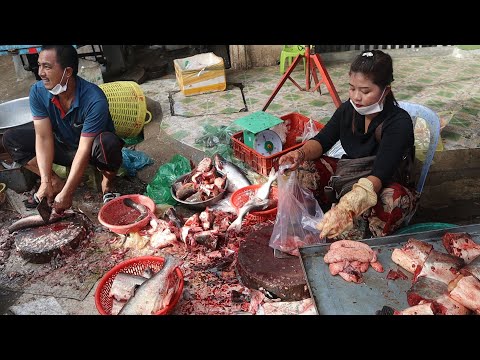 Cambodia Market Tour 2021 | Street Food View in Phoum Russey Market