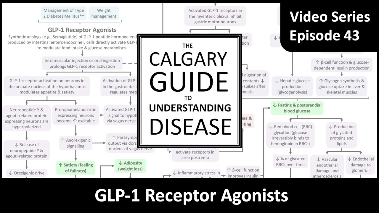 GLP-1 Receptor Agonists — Mechanisms of Action (Semaglutide, Tirzepatide)