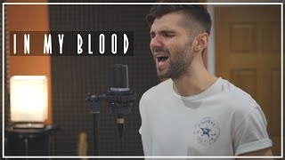 Shawn Mendes - In My Blood Acoustic cover