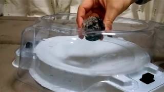 BEYBLADE☆ベイブレードバースト☆TAKARATOMY☆シェルターレグルス☆