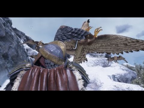 In the Anvil Mountains, the  hawks a rule its peaks, & their shadow is the law of the land.