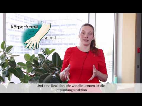 CIBSS Basics: Was ist eine Entzündungsreaktion? Jun.-Prof. Dr. Katrin Kierdorf