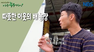 [한우愛 빠진 초보 농부 승우 씨] 따뜻한 이웃의 배 농장