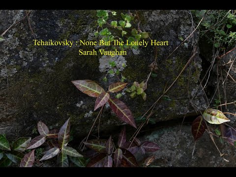 Tchaikovsky : None But The Lonely Heart -  Sarah Vaughan