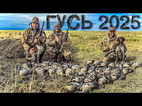 Chasing the Goose. Part 2. The perfect end to the season!