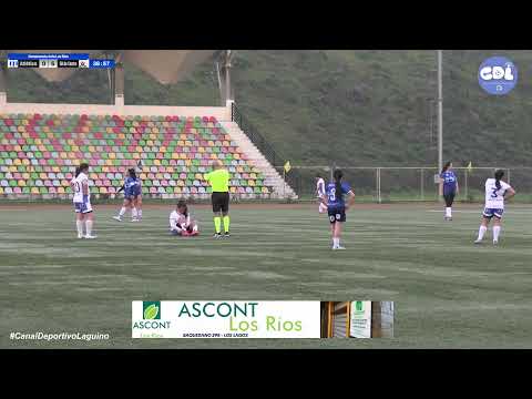 Campeonato Regional de Clubes Anfa Los Rios
