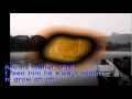 เพลง trouble is a friend # By Joe Sitthiwet 