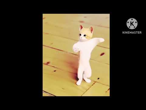cat dance | Billy ki dance | Hanif shorts