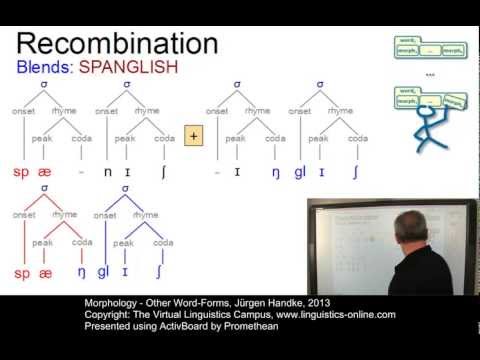 MOR113 - Other Word-Forms