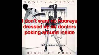 Godley &amp; Creme - My Body the Car lyrics