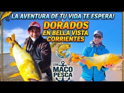 Dorados en Bella Vista Corrientes segunda parte, con excelentes Capturas 