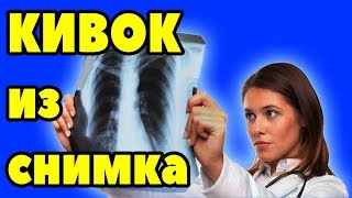 Ссылка